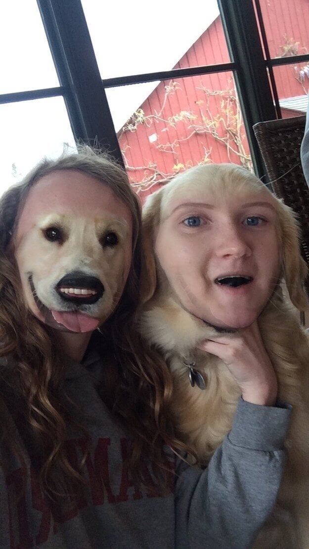 canine cuddle pet face swap example