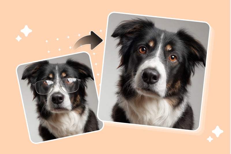 Animal&nbsp;Pictures