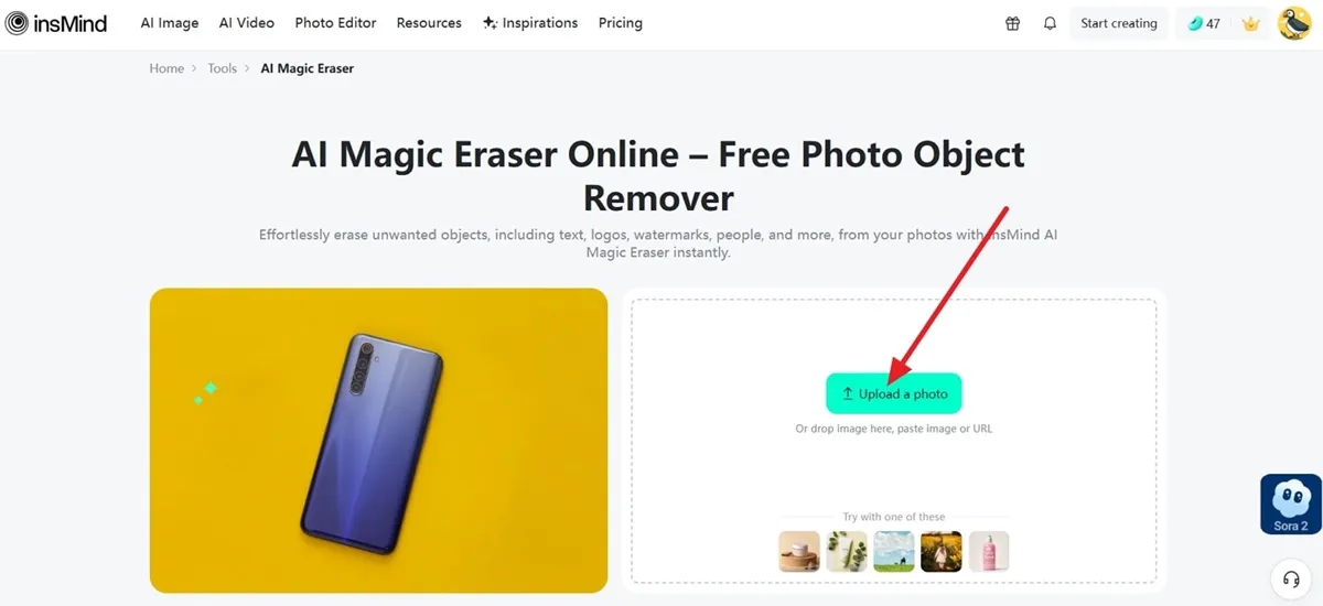 Illustrates importing a picture into the Magic Eraser tool to start removing fence lines.