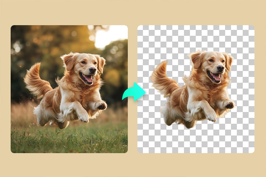 Capture the cuteness of your fur babies with insMind's Background Removal tool that accurately separates even the finest fur from backgrounds.