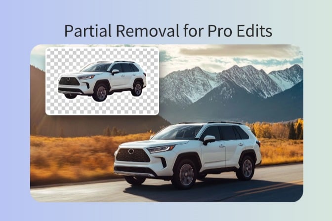 Partial Background Removal: How to Remove a Part of an Image Background