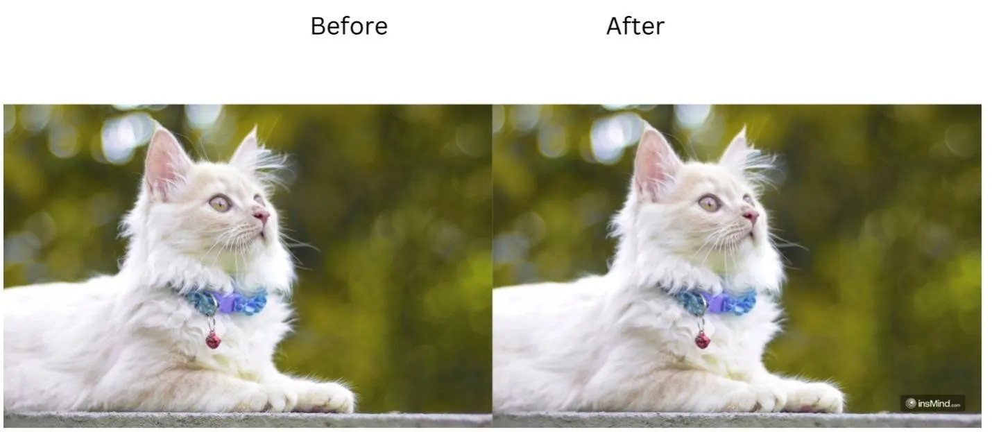 See the transformation of an image before and after enhancing with insMind.