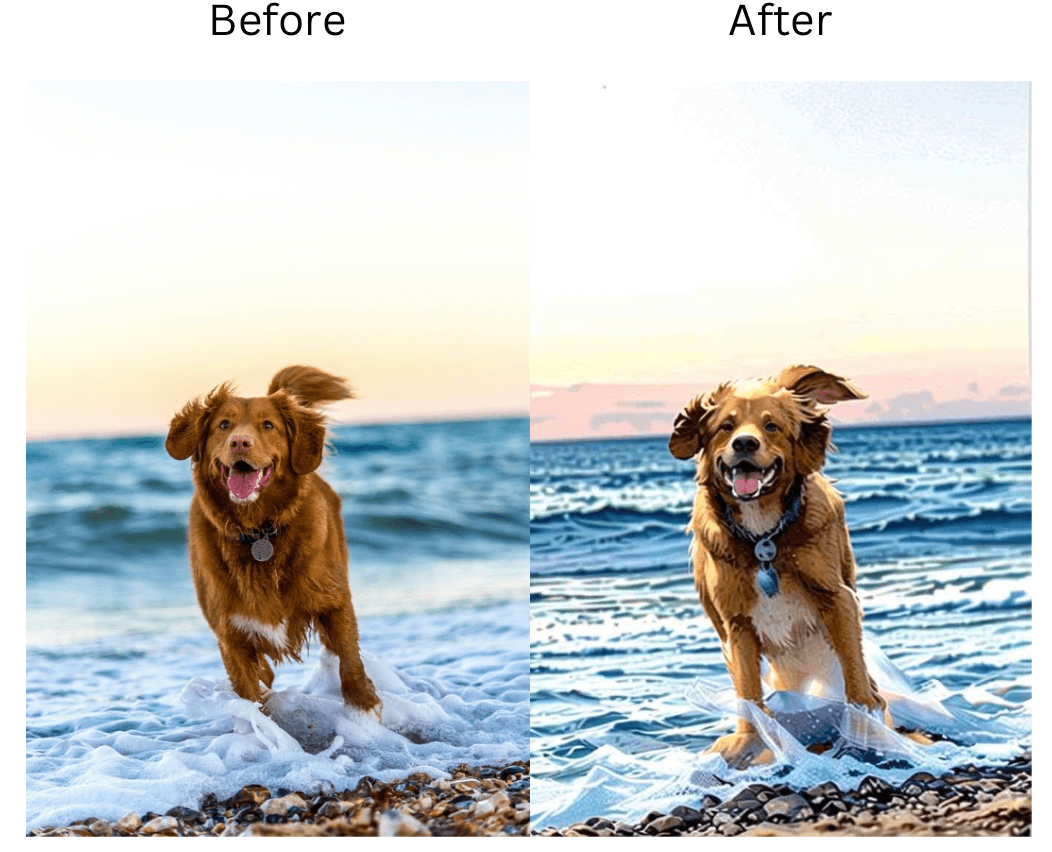 Demonstration image showing a photo before and after changing the  Filter using the insMind tool