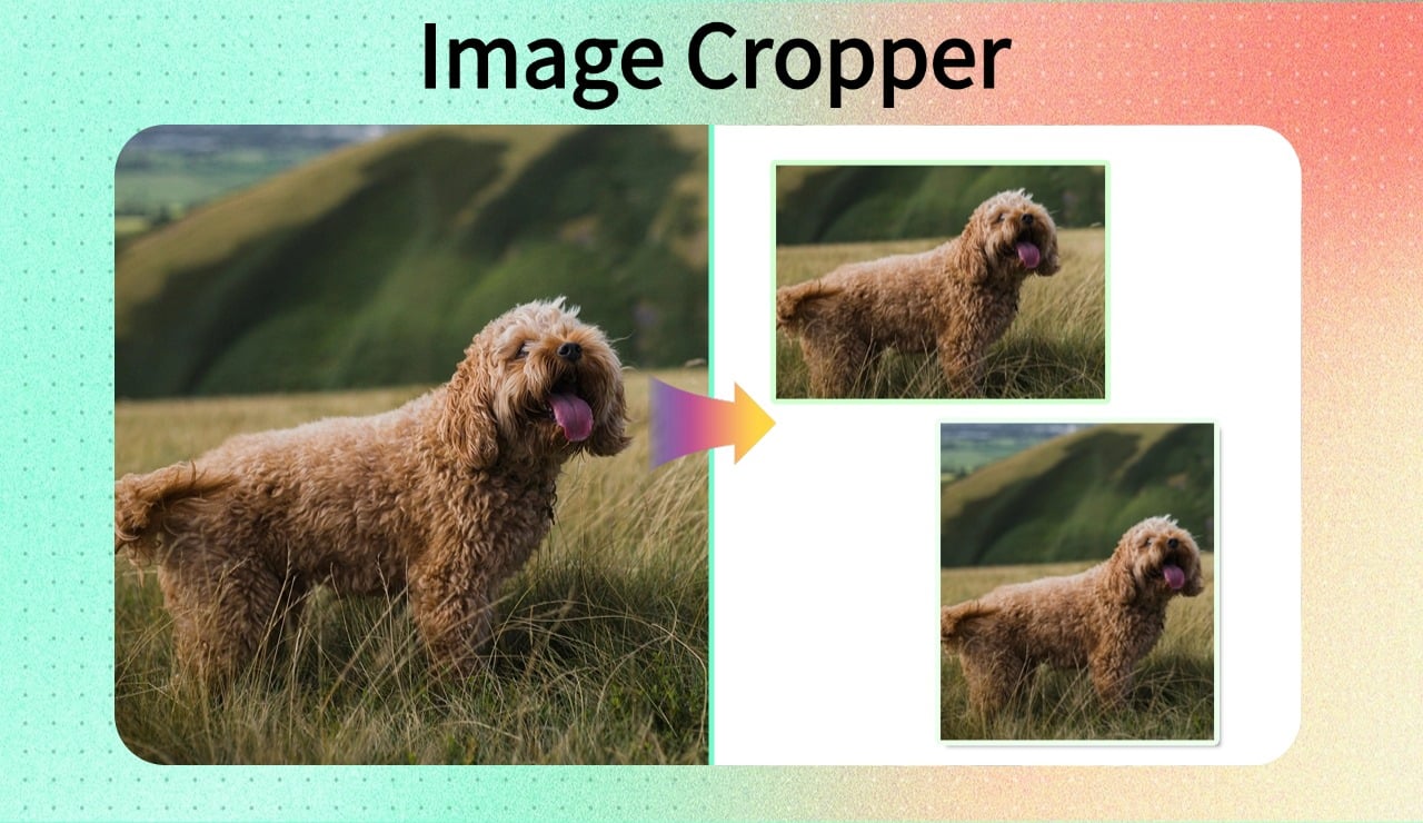 Perfect Your Photos with the insMind Image Cropper