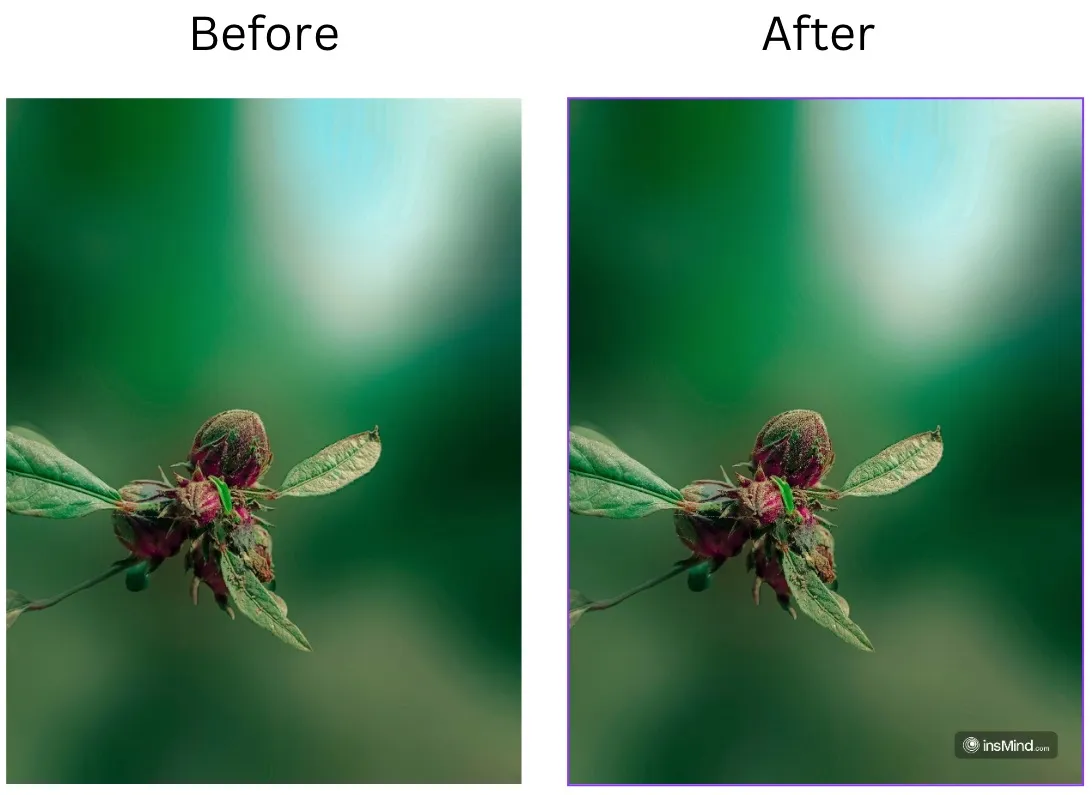 Demonstration image showing a photo before and after enhancing using the insMind tool