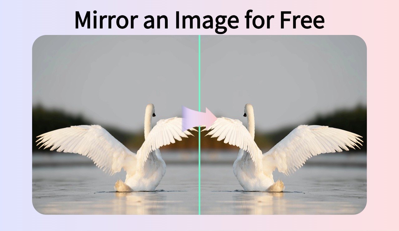 Mirror Image:The Best Online Tool to Mirror an Image for Free