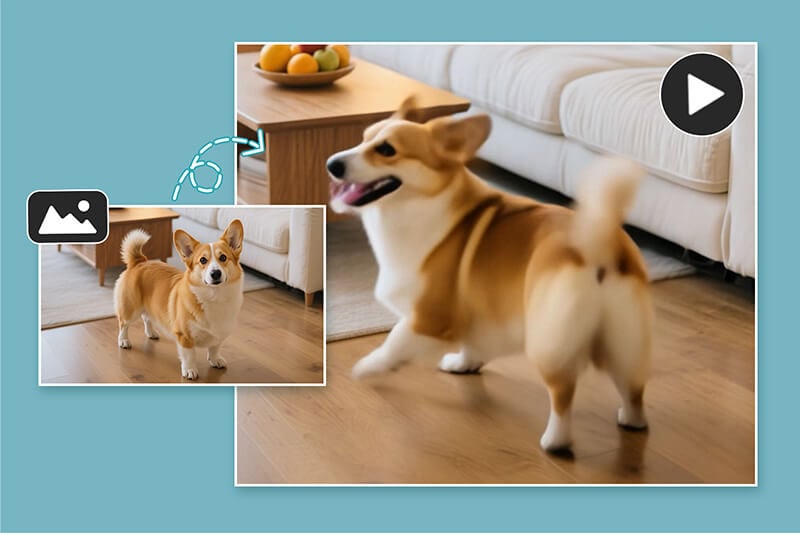 <p><span style="color: #000000;">&nbsp;Pet&nbsp;Twerk&nbsp;Videos</span></p>