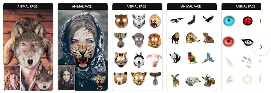 animal face maker app