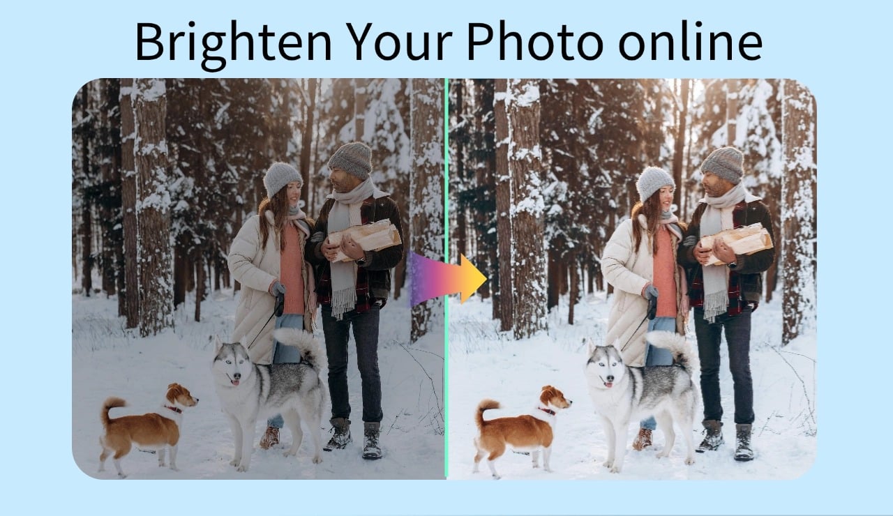 Effortlessly Brighten Your Images in a Natural Way – insMind Image Brightener